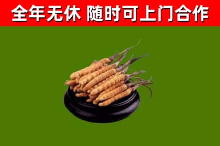 湘桥烟酒回收冬虫夏草.jpg